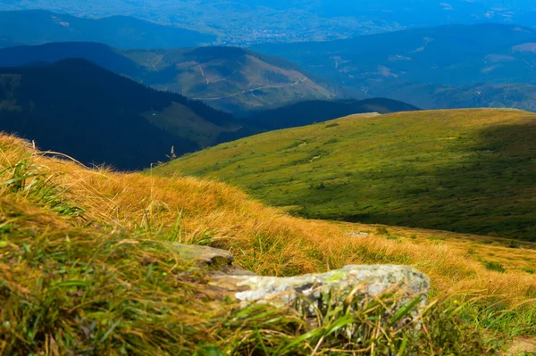 Ukrayna 'daki Karpat Dağları' ndaki Hoverla 'ya giden kuru sarı çimenlikteki taş. Yatay açık hava çekimi