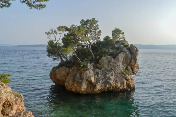 Hırvatistan 'ın Brela tatil beldesindeki Adriyatik Denizi plajı. Hırvatistan 'ın Dalmaçya kenti Makarska Riviera' nın Brela tatil beldesindeki Punta Rata plajındaki ada