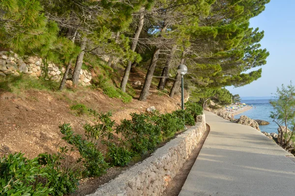 Hırvatistan 'ın Brela tatil beldesindeki Adriyatik Denizi plajı.