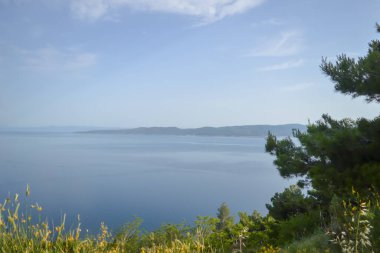 Adriyatik Denizi kıyısı. Hırvatistan 'ın Dalmaçyalı Makarska Rivierası