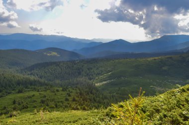 Hoverla 'ya giden panoramik manzara, Karpatya dağları, Ukrayna. Yatay açık hava çekimi