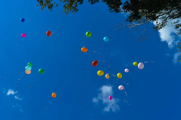 Balloons Blue Summer Sky — Stock Photo, Image