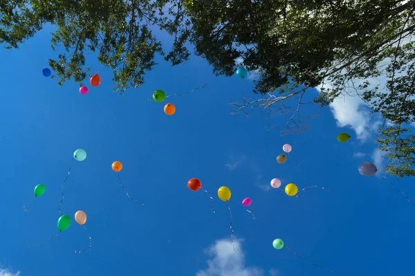 Balloons Blue Summer Sky — Stock Photo, Image