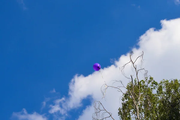 Balloons Blue Summer Sky — Stock Photo, Image