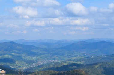 Mayıs 'ta Karpatlar Ormanı