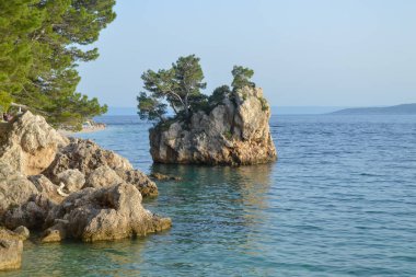 Hırvatistan 'ın Brela tatil beldesindeki Adriyatik Denizi plajı. Hırvatistan 'ın Dalmaçya kenti Makarska Riviera' nın Brela tatil beldesindeki Punta Rata plajındaki ada