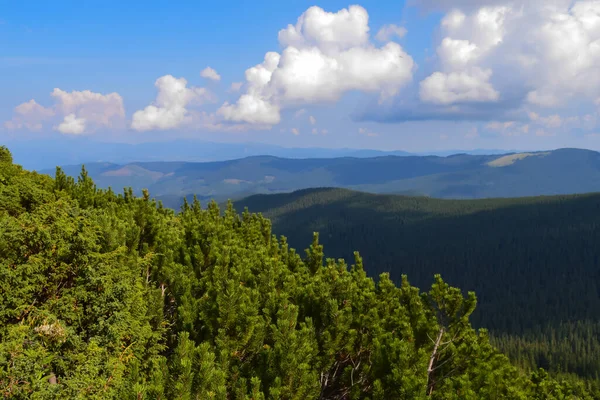 Panoramiczny Widok Hoverla Karpaty Ukraina Strzał Poziomie Zewnątrz — Zdjęcie stockowe