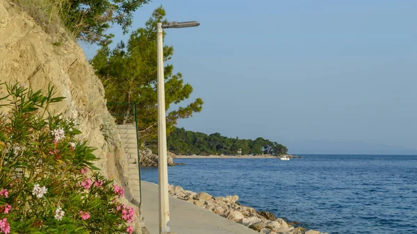Spaziergänge Der Nähe Des Strandes Punta Rata Ferienort Brela Makarska — Stockfoto