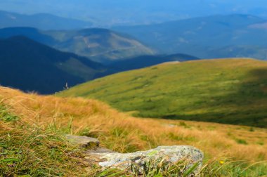 Karpat dağlarının arka planında sarı çimenli taş, Ukrayna.