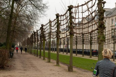 BRÜKSEL, BELGÜM - 30 Aralık 2018: 30 Aralık 2018 'de Brüksel Park, Belçika' da koşan insanlar.