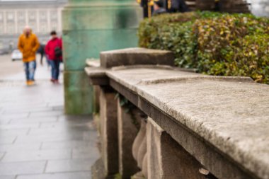 Taştan yeşil çit arka planı, Brüksel