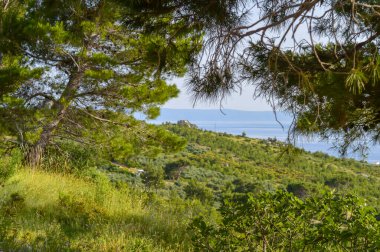 Adriyatik Denizi kıyısı. Hırvatistan 'ın Dalmaçyalı Makarska Rivierası