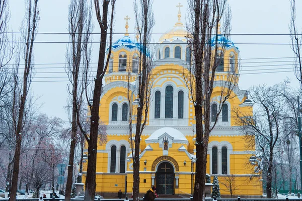 Киев Украина Января 2019 Собор Святого Владимира Облачный Зимний День — стоковое фото