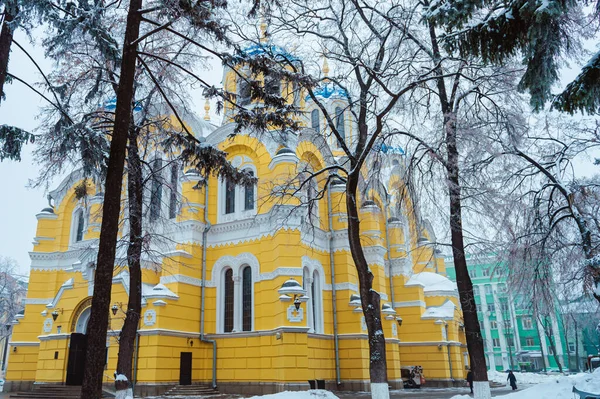 Kyiv Ukrajina Červen 2019 Katedrála Volodymyra Oblačný Zimní Den Ukrajinském — Stock fotografie