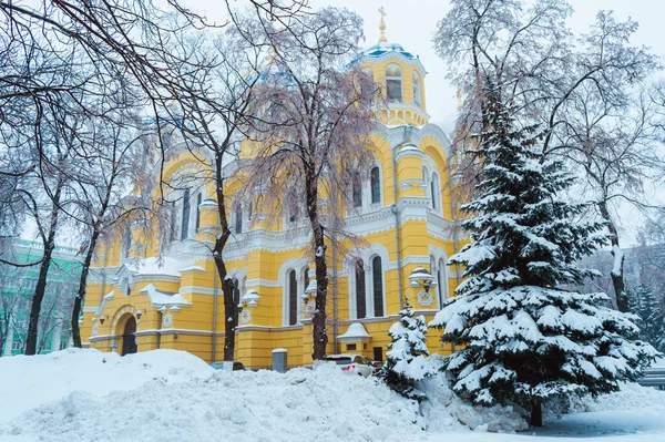 Киев Украина Января 2019 Собор Святого Владимира Облачный Зимний День — стоковое фото