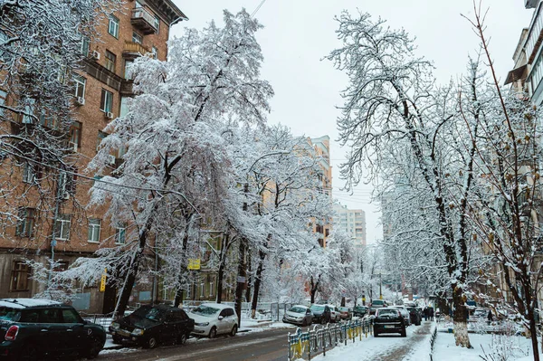 Kyiv Ukraine Luty 2019 Drzewa Samochody Ulicach Śnieżycy Kijowie Ukraina — Zdjęcie stockowe