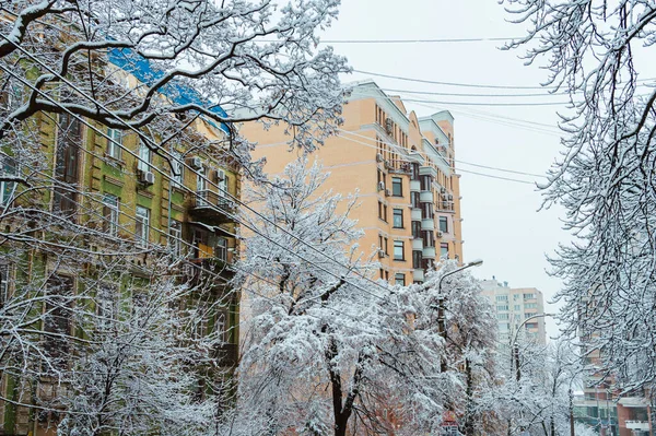 Kyiv Ukraine Luty 2019 Drzewa Samochody Ulicach Śnieżycy Kijowie Ukraina — Zdjęcie stockowe