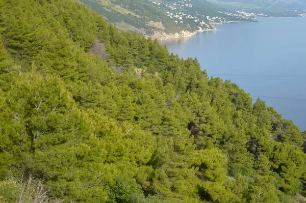 Adriaküste Makarska Riviera Dalmatien Kroatien — Stockfoto