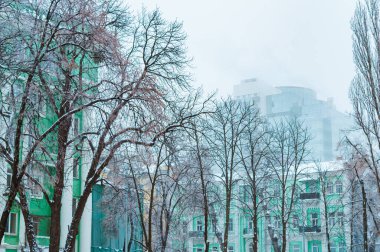 KYIV, UKRAINE - 28 Ocak 2019 'da Ukrayna' nın Fomin Botanik Bahçesinden Hilton Oteli. 