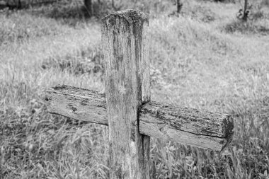 Mezarlıkta eski ahşap haç, siyah beyaz