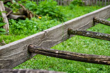 Bahar bahçesinde kırık ahşap merdiven