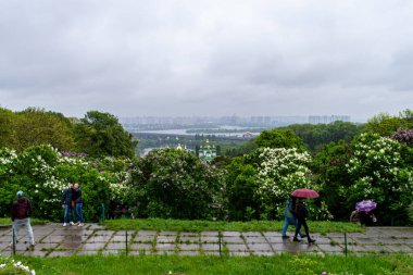KYIV, UKRAINE - 5 Mayıs 2019: 5 Mayıs 2019 tarihinde Ukrayna 'nın başkenti Kyiv' de bulunan Dinyev Nehri ve Vydubychi Manastırı 'nın arka planındaki Hryshko Ulusal Botanik Bahçesi' nde leylak çiçeklerinin panoramik görünümü. 