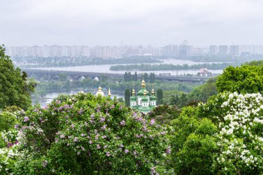 KYIV, UKRAINE - 5 Mayıs 2019: 5 Mayıs 2019 tarihinde Ukrayna 'nın başkenti Kyiv' de bulunan Dinyev Nehri ve Vydubychi Manastırı 'nın arka planındaki Hryshko Ulusal Botanik Bahçesi' nde leylak çiçeklerinin panoramik görünümü. 