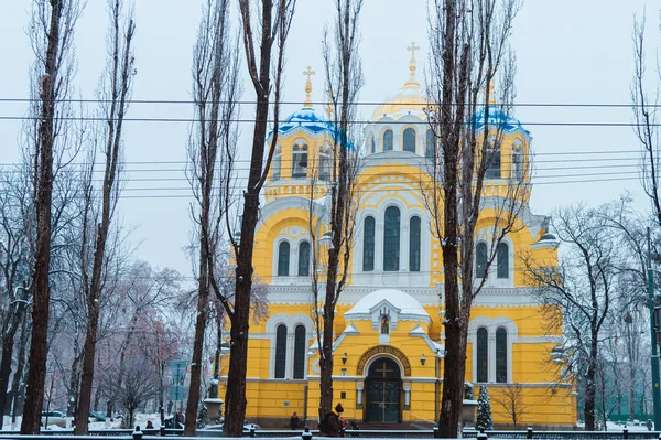 Киев Украина Января 2019 Собор Святого Владимира Облачный Зимний День — стоковое фото