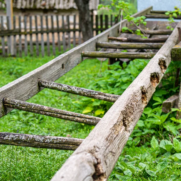 Vieille Échelle Bois Cassée Dans Jardin Printemps — Photo