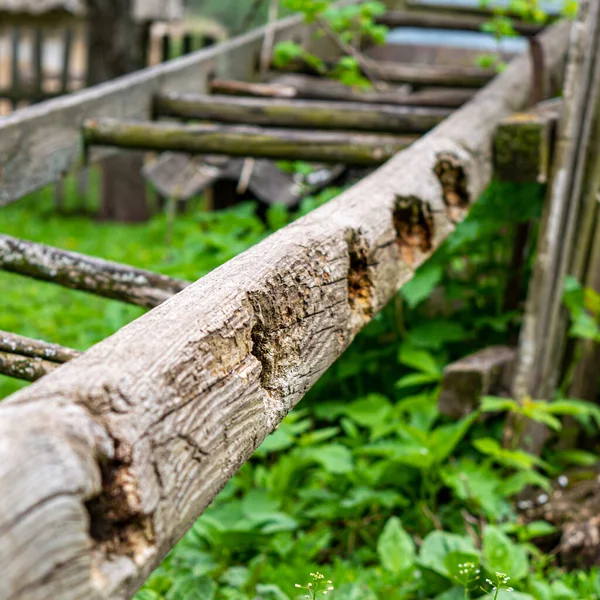 Vecchia Scala Legno Rotto Nel Giardino Primaverile — Foto Stock