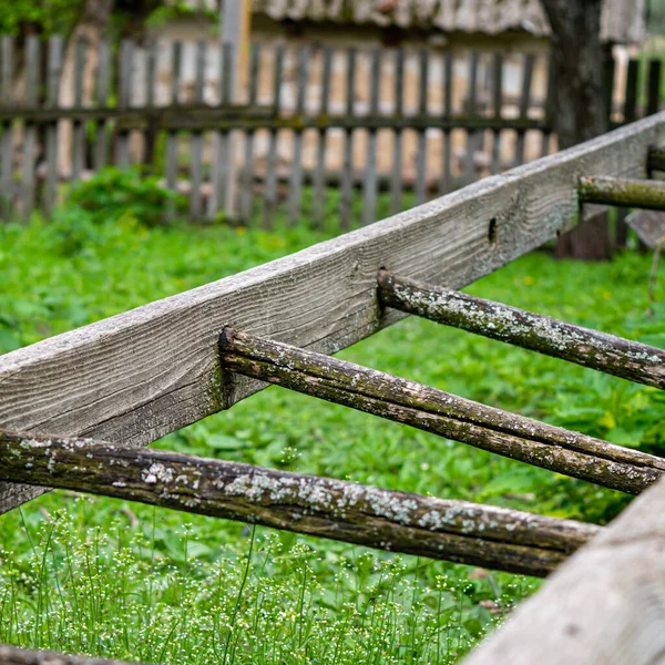春の庭で古い壊れた木製のはしご — ストック写真