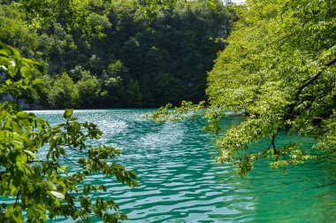 Hırvatistan 'ın Plitvice Gölleri Ulusal Parkı' nda Yürüyüş