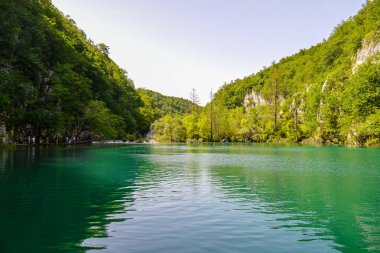 Hırvatistan 'ın Plitvice Gölleri Ulusal Parkı' nda Yürüyüş