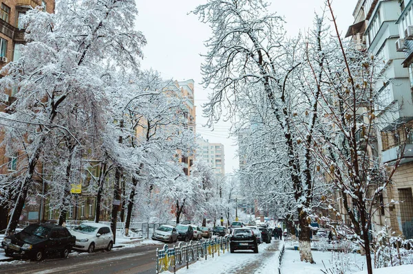 Kyiv Ukraine Luty 2019 Drzewa Samochody Ulicach Śnieżycy Kijowie Ukraina — Zdjęcie stockowe