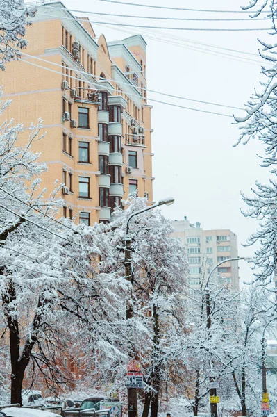 Kyiv Ukraine Luty 2019 Drzewa Samochody Ulicach Śnieżycy Kijowie Ukraina — Zdjęcie stockowe