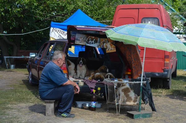 Velyki Sorochintsi, UKRAINE - 25 Ağustos 2017: Ulusal Ukrayna yıllık pazarında yavru köpek satan adam 