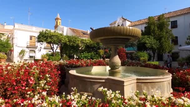 Estepona Spagna Luglio 2023 Piazza Dei Fiori Mattino Giorno Estate — Video Stock