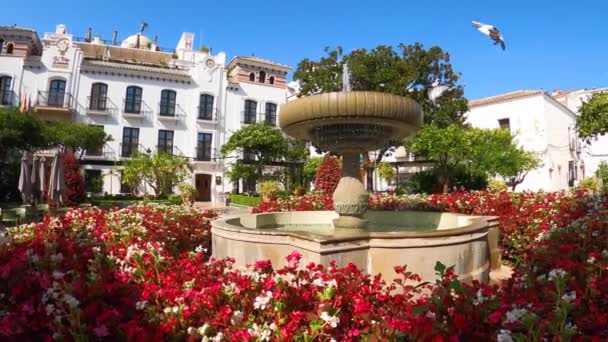 Estepona Spain July 2023 Площа Квітів Ранковий Літній День Естепоні — стокове відео