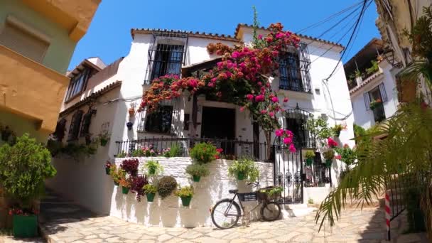 Estepona Spain July 2023 Прогулянка Центрі Міста Сонячний Літній День — стокове відео