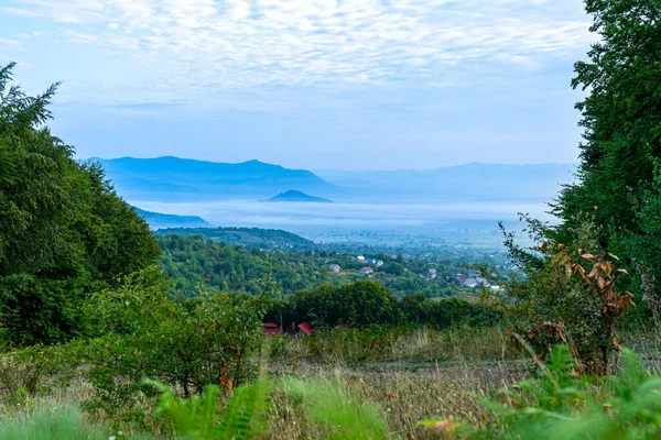 Khust Vadisi 'nin panoramik manzarası, Karpat Dağları, Ukrayna