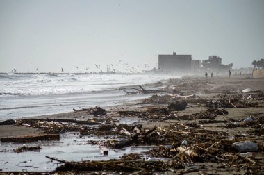 MALAGA, İspanya - 15 Kasım 2024: 15 Kasım 2024 tarihinde İspanya 'nın Malaga kentindeki DANA kasırgasının yol açtığı sel ve çöplük