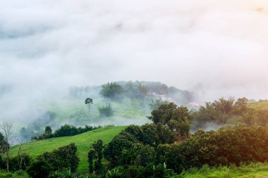 Sabah sis ile Yeşil tepeler 