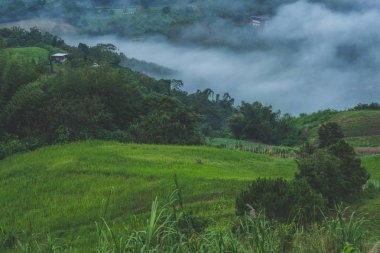 Sabah sis ile Yeşil tepeler 