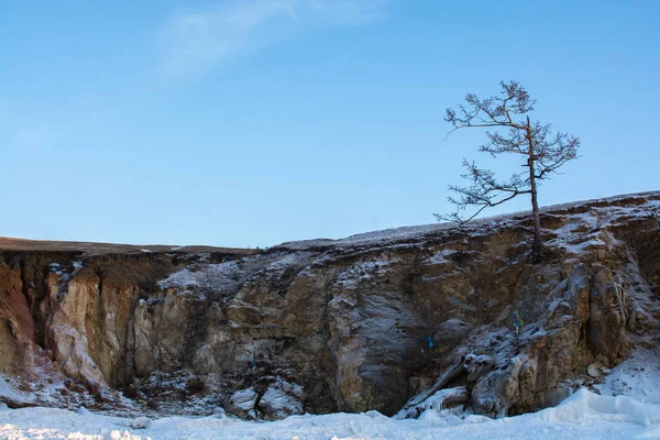 Дерево взимку на скелі, пейзажне зображення — стокове фото