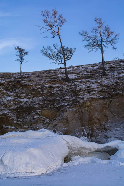 Drzewa w zimie na klifie, obraz krajobrazu, Fotografia krajobrazu — Zdjęcie stockowe