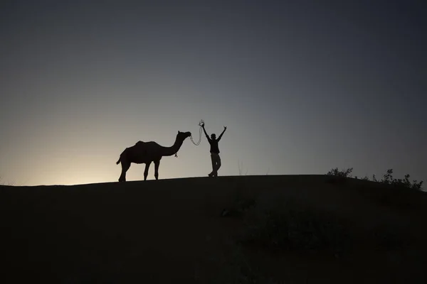 Silhouette photography of boy and camel at twilight