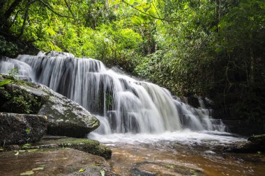 Yağmur ormanlarında şelale, Phitsanulok Eyaleti, Tayland