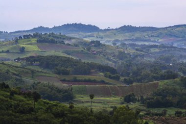Sabah ışığı ile tepede Tarım Arazisi
