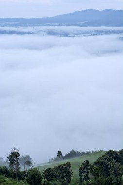 Sis arka plan ile Yeşil tepe, Phetchabun Eyaleti, Tayland