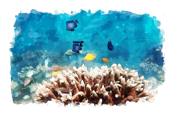 海水下的海洋生物 五彩斑斓的珊瑚小鱼 混合了照片和水彩画的媒介 — 图库照片